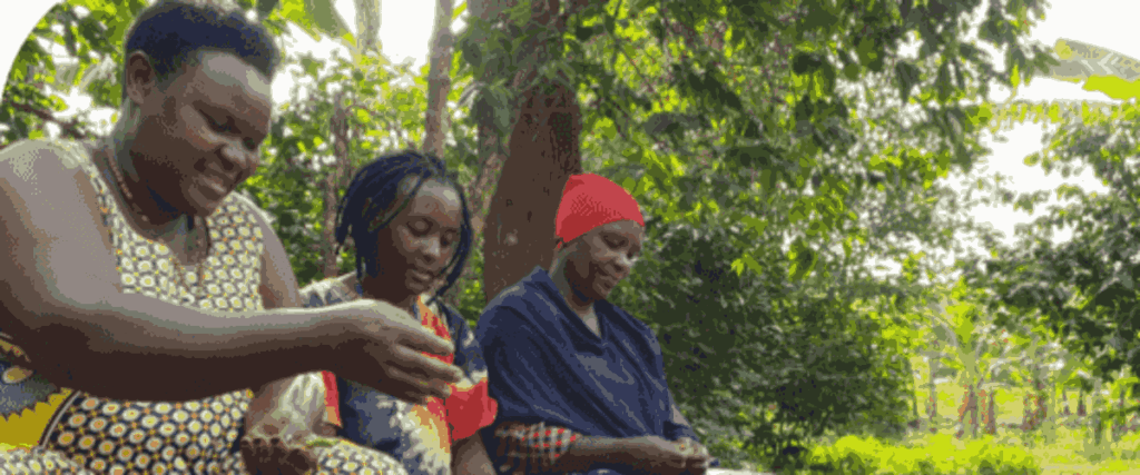 Empower Ugandan Women Farmers, Secure Futures
